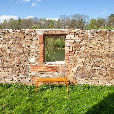 فيلة Gvendolina *